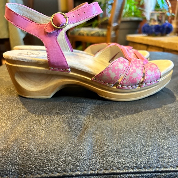 Sanita - Picture 1 of 5